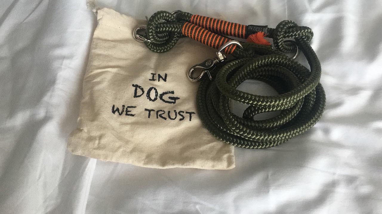 hund vegan transparenz