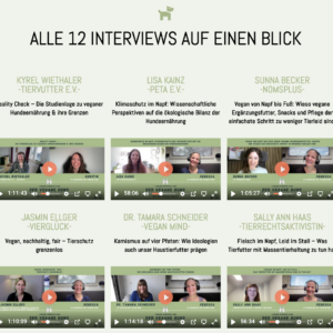 Premium-Kongress-Paket