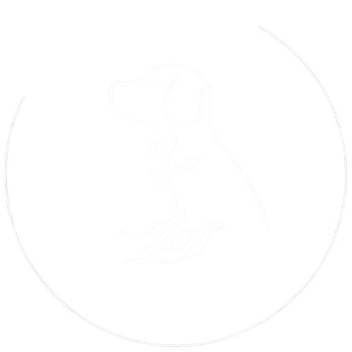 DER VEGANE HUND